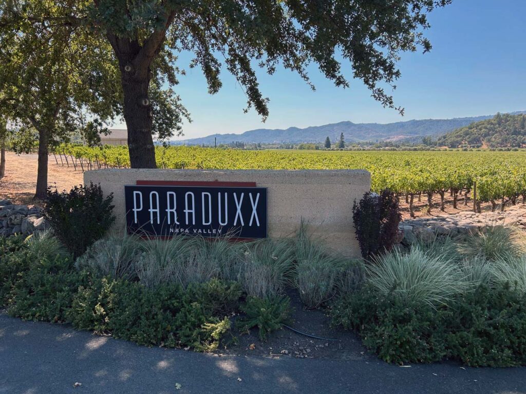 Viewing the vineyards at Paraduxx, a preferred vendor of VinoBocce